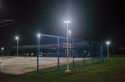 Veladas encantadoras: Exportador de luz solar de jardín para lugares de hospitalidad