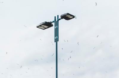 ¿Cómo entender correctamente la luz de calle solar integrada todo en uno?